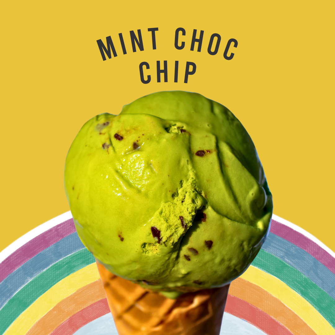 TUB-MINT CHOC CHIP ICE CREAM 1x4.7Ltr-(MRS DOWSONS)